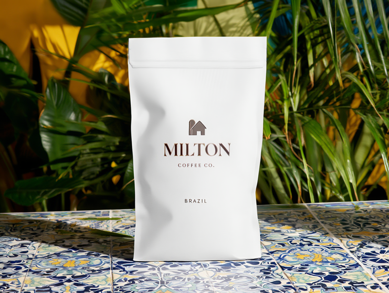 Brazil Condado São José